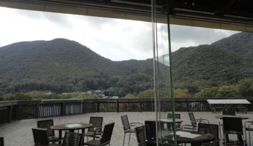 篠山の穴場！パスタならダイニングカフェ「虚空蔵」がおすすめ。丹波立杭焼エリアの観光にもちょうどいいよ
